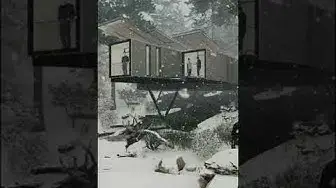 Video thumbnail for Lumion 11 Forest Animation | #shorts | Ammar Khan