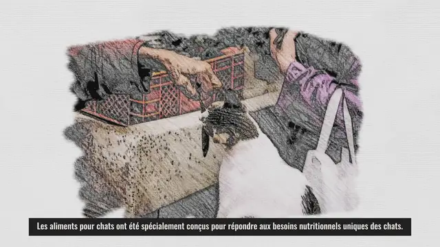 'Video thumbnail for nourriture chat'