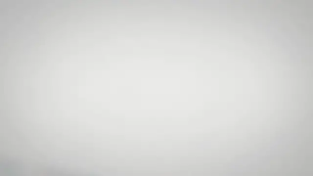 Video thumbnail for 5 Best Pet Tortoise Breeds for Beginners