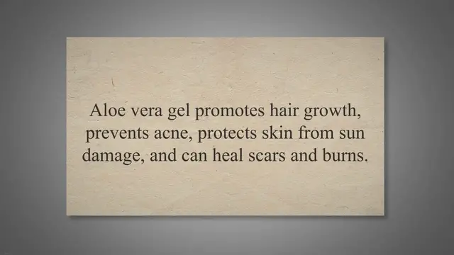 Video thumbnail for Top 15 Aloe Vera Dishes You Can Make At Home