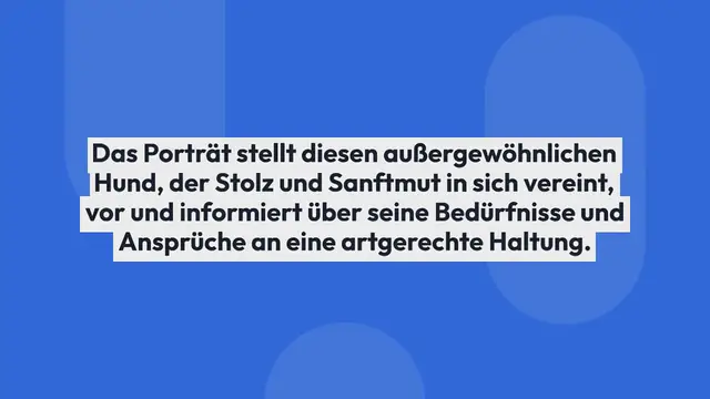 Video thumbnail for Cane Corso Italiano im Rasseportrait