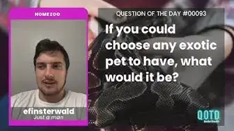 Video thumbnail for A pet snake would keep efinsterwald on his toes. To each their own!