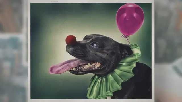 Video thumbnail for How Do Circus Animals Travel?