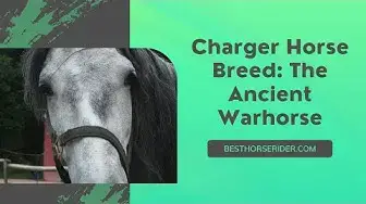 Video thumbnail for Charger Horse Breed: The Ancient Warhorse