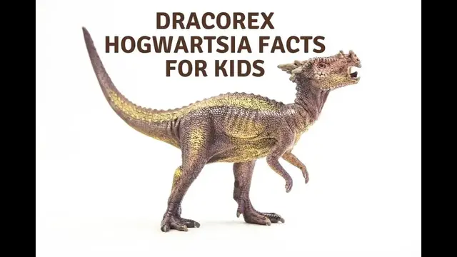 'Video thumbnail for Dracorex Hogwartsia Facts For Kids'