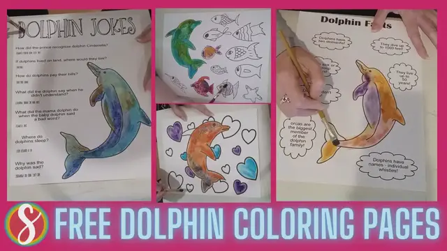 Video thumbnail for Free Dolphin Coloring Pages