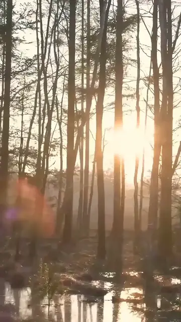 Video thumbnail for سورة المدثر كاملة - الشيخ ياسر الدوسري