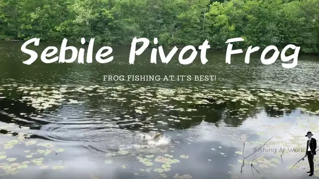 Video thumbnail for Sebile Pivot Frog Lure Review - I Lose A Big Bass At The End!