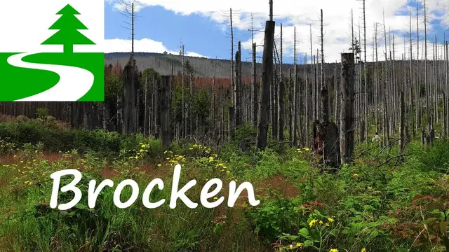 Video thumbnail for Der etwas andere Brockenaufstieg von Ilsenburg