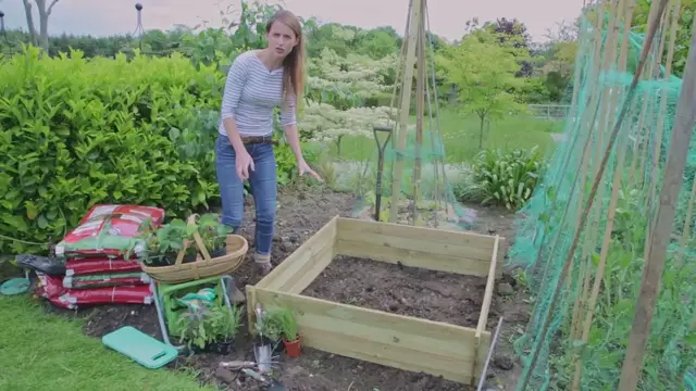 Video thumbnail for How to grow vegetables  in raised bed gardens