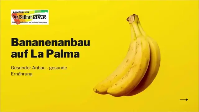 'Video thumbnail for Bananenanbau auf La Palma'