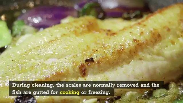 Video thumbnail for Advantages of Using Fish Scalers – Things You Need To Know! (2021)