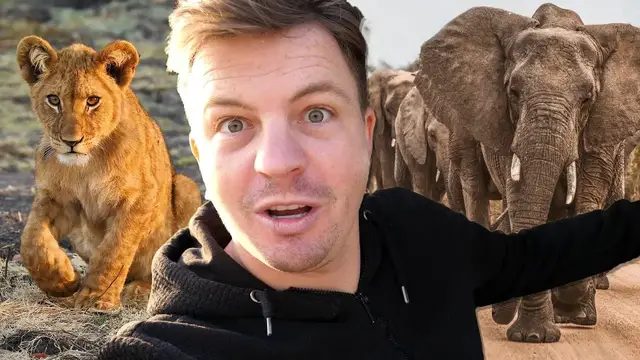 Video thumbnail for BEST SAFARI in BOTSWANA (Chobe National Park)