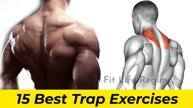 Video thumbnail for 15 BEST TRAP WORKOUT AND EXERCISES FOR MASS AND STRENGTH