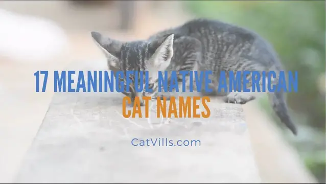 Video thumbnail for 17 MEANINGFUL NATIVE AMERICAN CAT NAMES