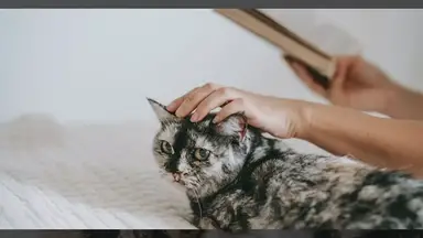 'Video thumbnail for Top Five Writing Exercises to Boost Creativity and Skill'
