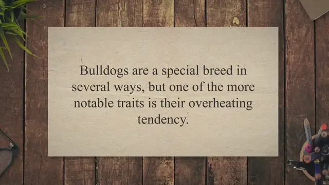 Video thumbnail for Why Do Bulldogs Overheat?