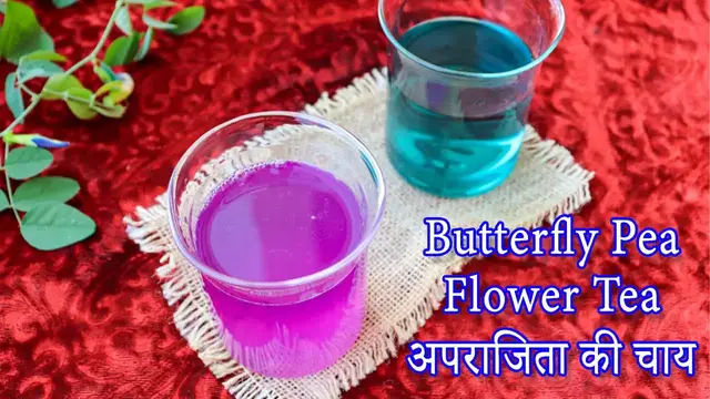 Video thumbnail for Aparajita Flower Tea | Butterfly Pea Flower Tea | Control Sugar | अपराजिता की चाय | नीली चाय