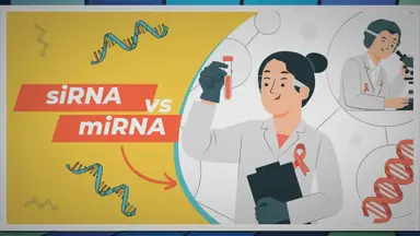 'Video thumbnail for Exploring the 10 Major Differences Between siRNA and miRNA'