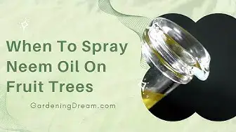 Video thumbnail for Info Article When To Spray Neem Oil On Fruit Trees