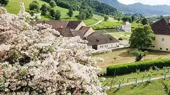 Video thumbnail for Klostergarten im Stift St  Paul im Lavanttal