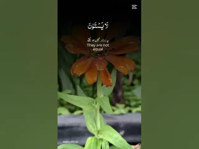 Video thumbnail for Quran so beautiful #subscribe