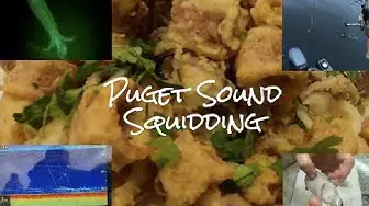 Video thumbnail for Puget Sound Squidding and Making Calamari