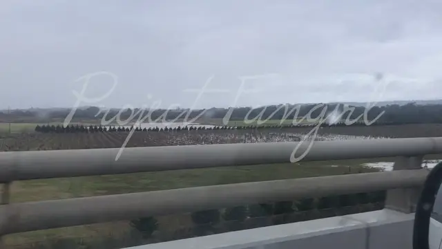 Video thumbnail for Over bridge 2