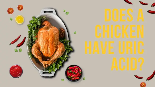 Video thumbnail for Does a chicken have uric acid? Video