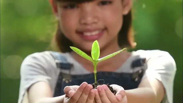 Video thumbnail for 10 Main Causes of Soil pollution