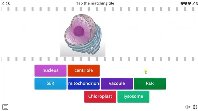 Organelle Computer Learn Cell Organelles and their Image in a Minute
