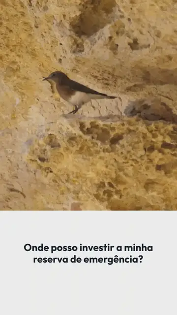 'Video thumbnail for Saiba onde você pode investir a sua reserva de emergência'