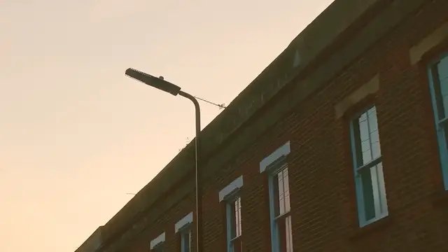 Video thumbnail for y2mate.com - Glass Animals  Heat Waves Official Video_720pFH