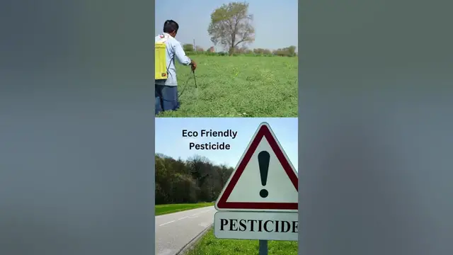 'Video thumbnail for Eco Friendly Pesticide'