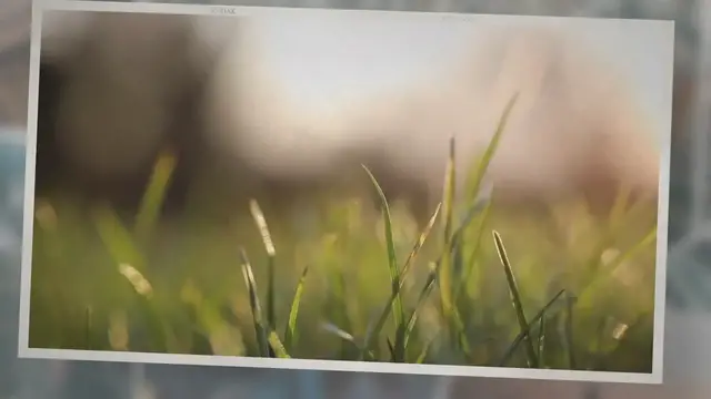 Video thumbnail for Lawn Fertilizers 101: How To Achieve Green Grass