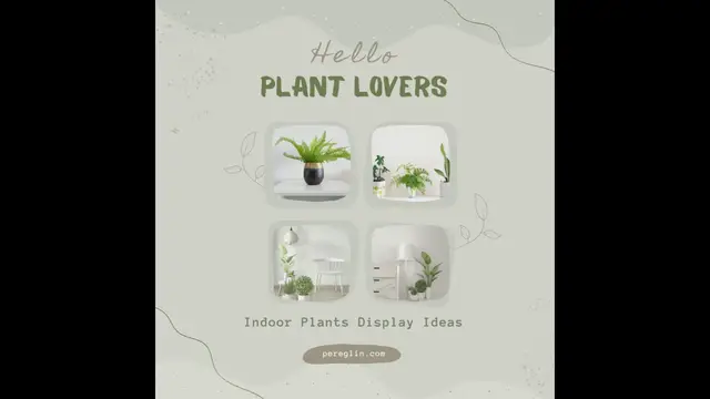 Video thumbnail for Soft Green Botanical Hello Plant Lovers