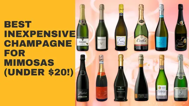Video thumbnail for Best Inexpensive Champagne for Mimosas (Under $20!)