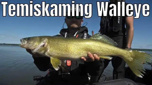 Video thumbnail for Trolling Cranks for Lake Temiskaming Walleye | Fish'n Canada
