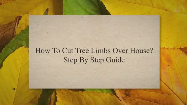 Video thumbnail for How To Cut Tree Limbs Over House? Step By Step Guide