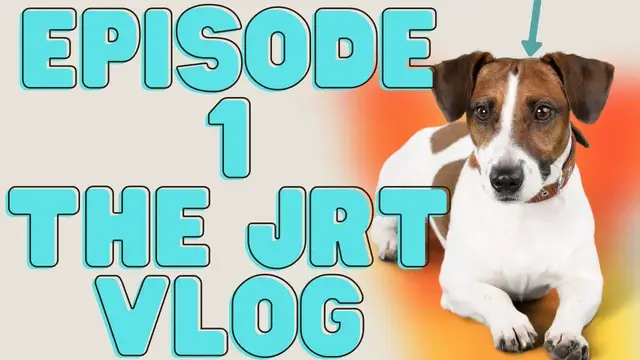 Video thumbnail for The Jack Russell Terrier Vlog Episode 1 (🐶Trimming Your Jack Russell's Nails- The Right Way!)