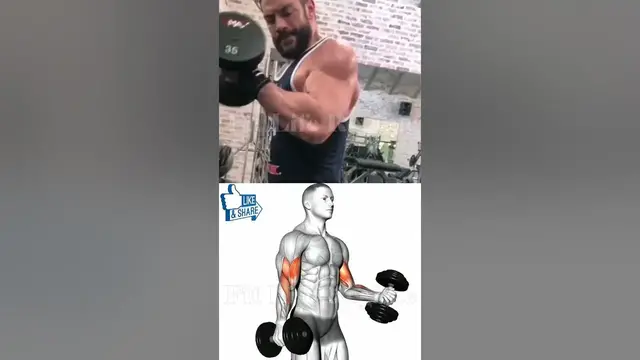 Video thumbnail for Roman Reigns Sleeve Busting Arm Workout