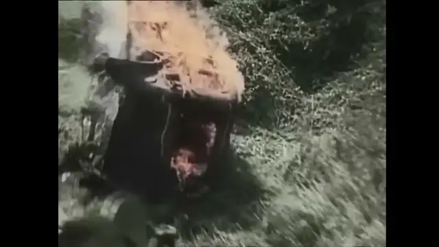 Video thumbnail for Panzers wreak havoc in France 1940.