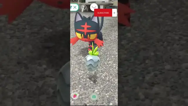 Video thumbnail for Litten  AR+ Walking With A Cutie Cat! @Pokémon GO #shorts