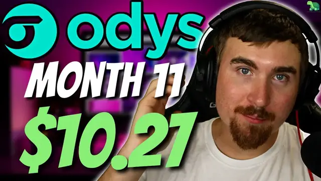 'Video thumbnail for I Added an Affiliate Program | Odys Aged Domain Month 11'