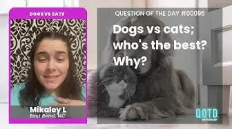 Video thumbnail for Sorry cat-lovers, dogs are better (and cats are moody!)