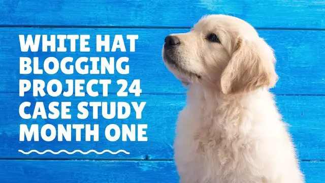 Video thumbnail for Path To Freedom - A Project 24 Case Study - Month 1 #ProjectNeptune