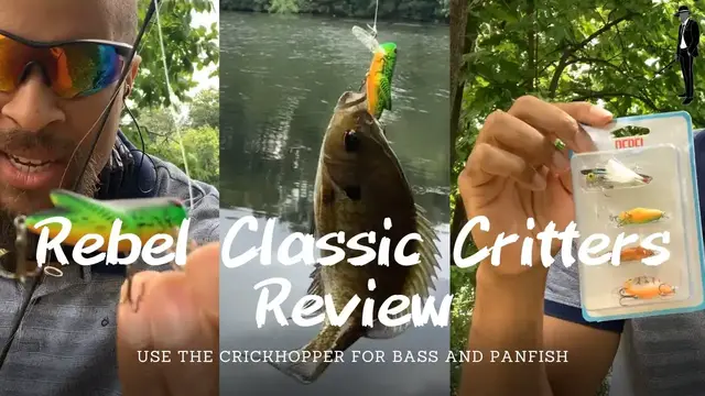 Video thumbnail for Rebel Classic Critters Are Proven Fish Catchers - Use The Crickhopper For Bluegill and Bass!