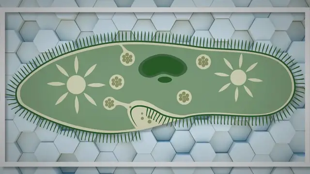 Video thumbnail for Co to jest mikrobiologia-pl