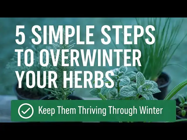 'Video thumbnail for 🎥 ✅ 🌱 5 Simple Steps to Overwinter Your Herbs ❄️ | Keep Them Thriving Through Winter 🌿🎧'