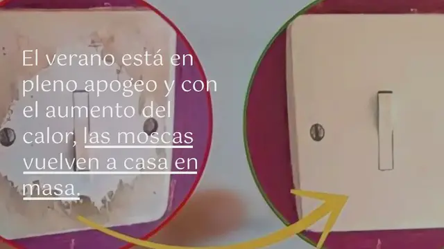 Video thumbnail for Ya no verás moscas en tu casa con el truco del vaso de agua: